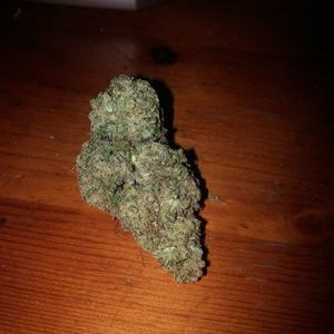 Meet your Posher, Buddy